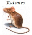 Ratones