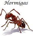 Hormigas